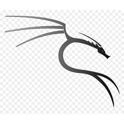 kali linux