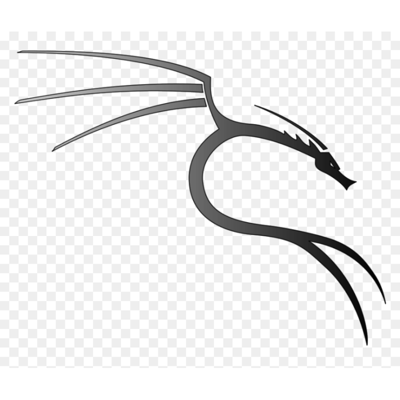 kali linux
