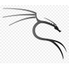 kali linux